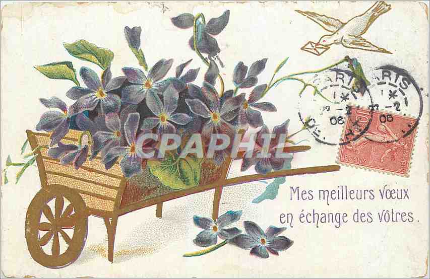 CPA Mes meilleurs voeux en echange des votres 