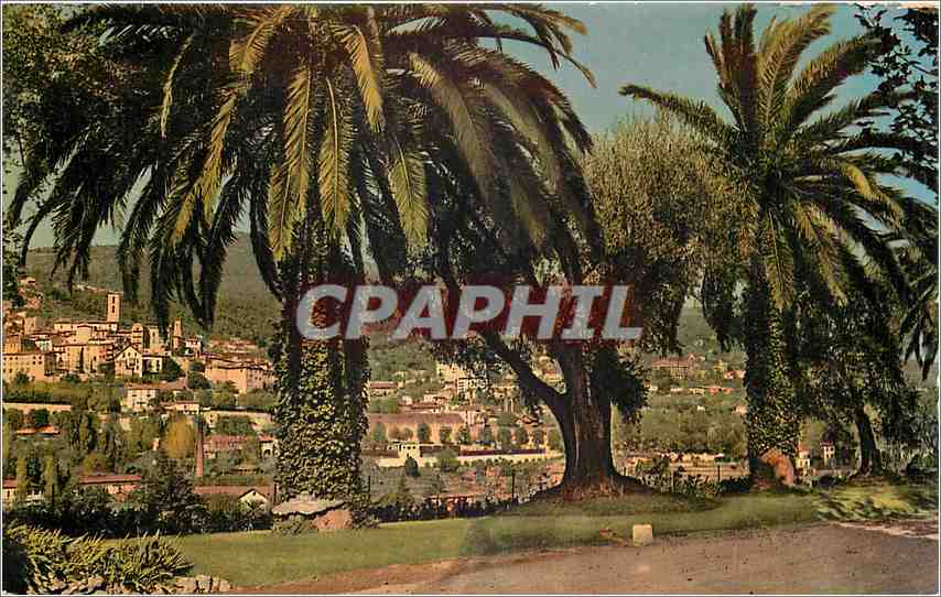 CPM Cote d'Azur Grasse et sa vegetation exotique Vue generale 