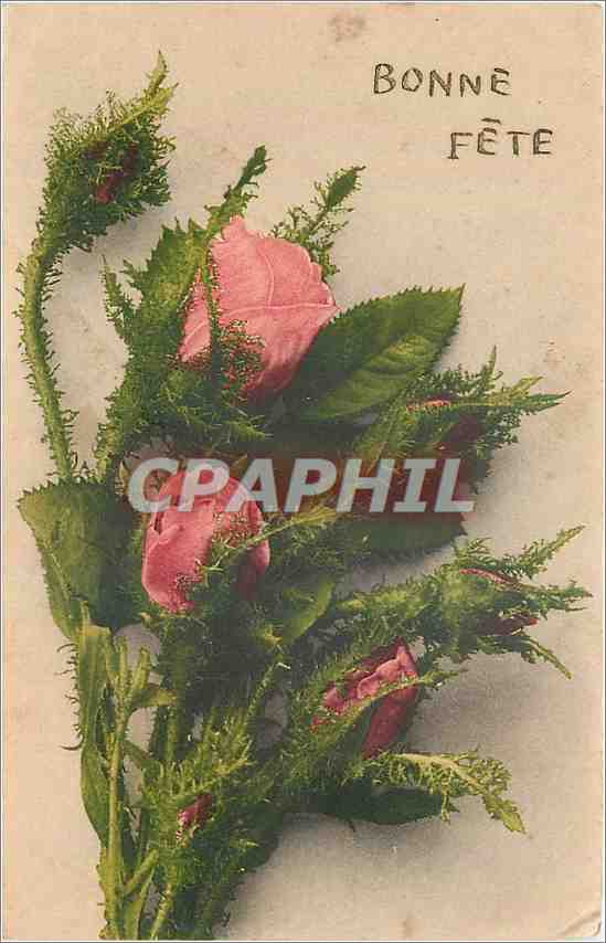 CPA Bonne Fete Fleurs
