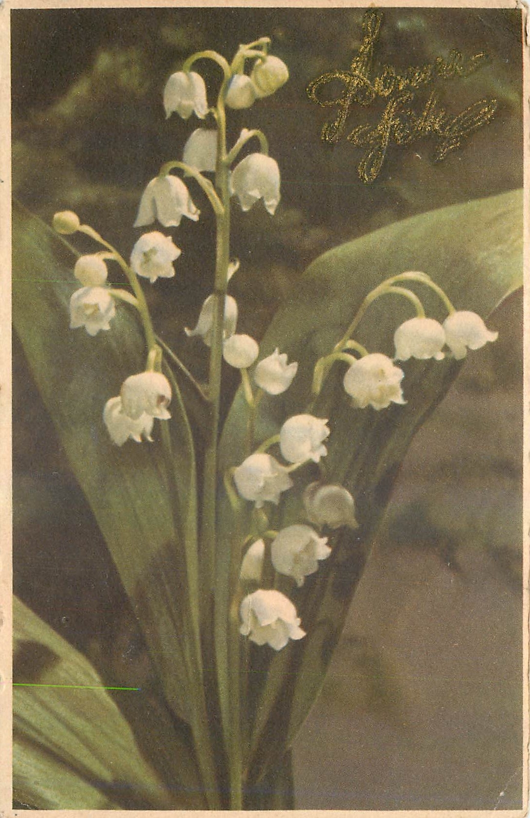 CPA Fleurs