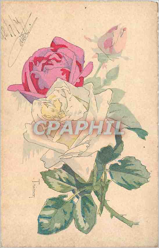 CPA Fleurs