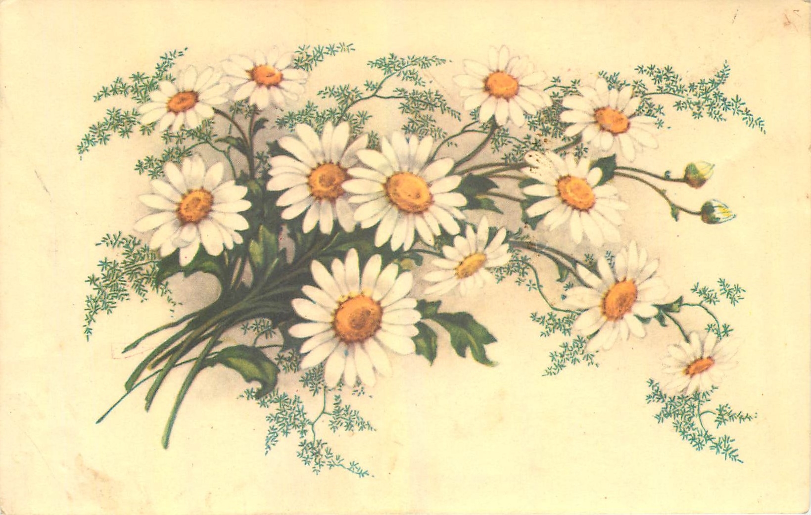CPA Fleurs