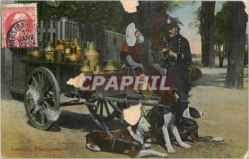 CPA Laitiere Flamande Voiture a chiens