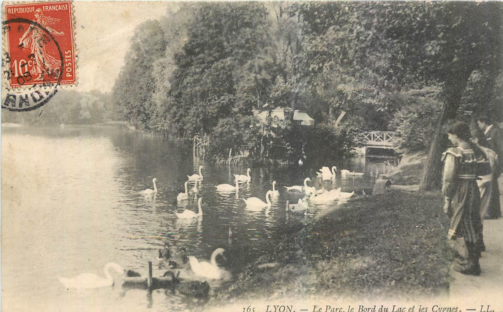 CPA Lyon Le Parc le Bord du Lac et les Cygnes 