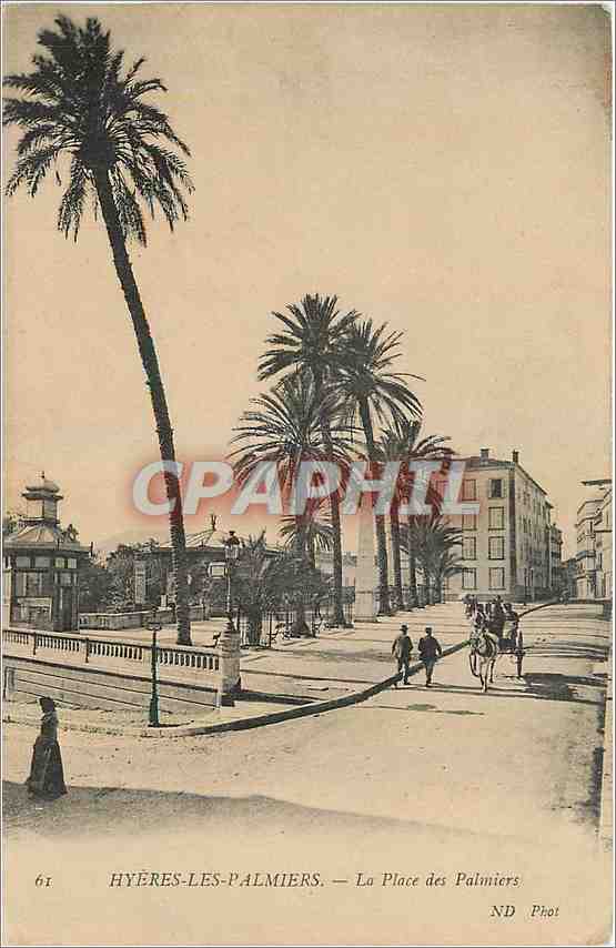 CPA Hyeres les Palmiers La Place des Palmiers 