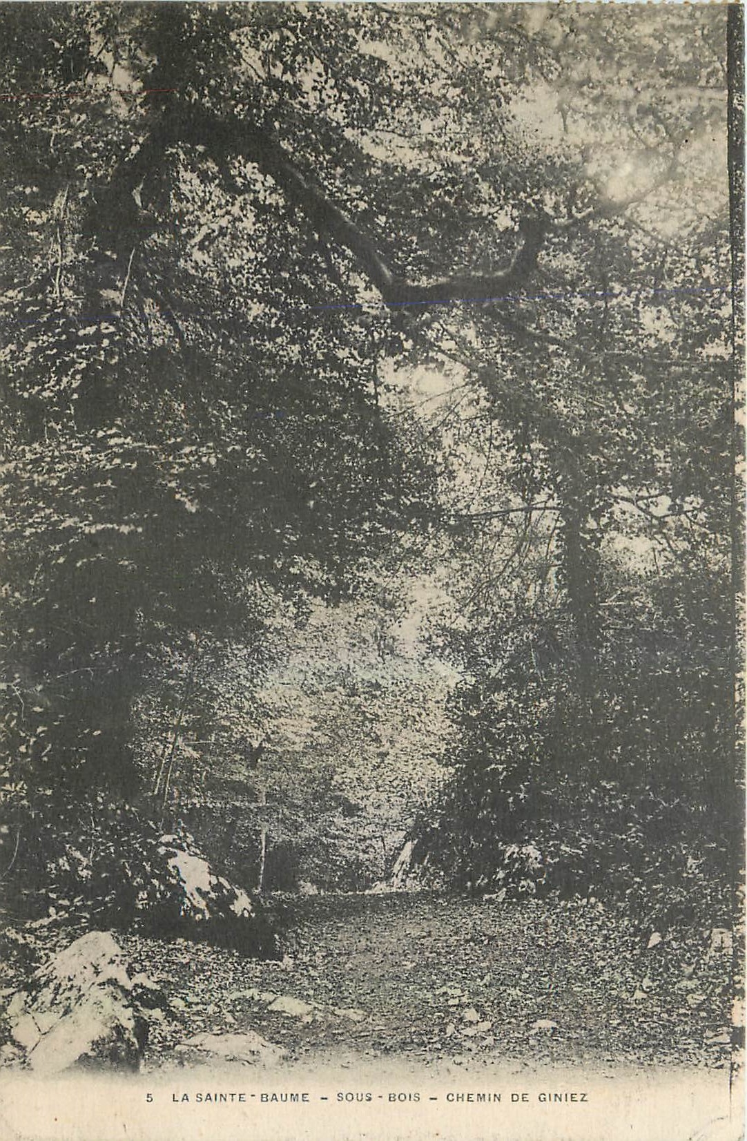CPA La Sainte Baume Sous Bois Chemin de Giniez 