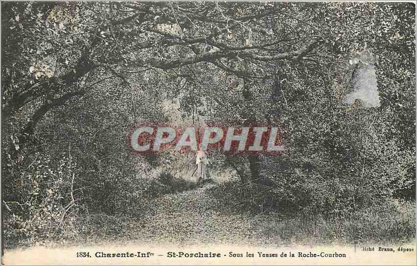 CPA St Porchaire Sous les Yeuses de la Roche Courbon 