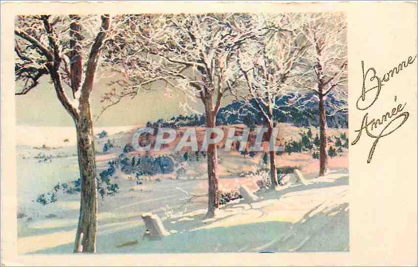CPA Bonne Annee 