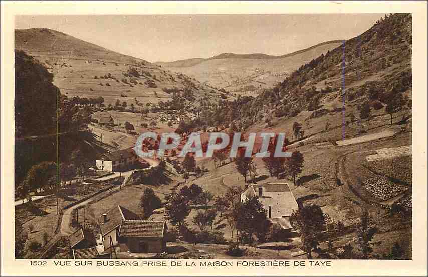 CPA Vue sur Bussang prise de la maison Forestiere de Taye 