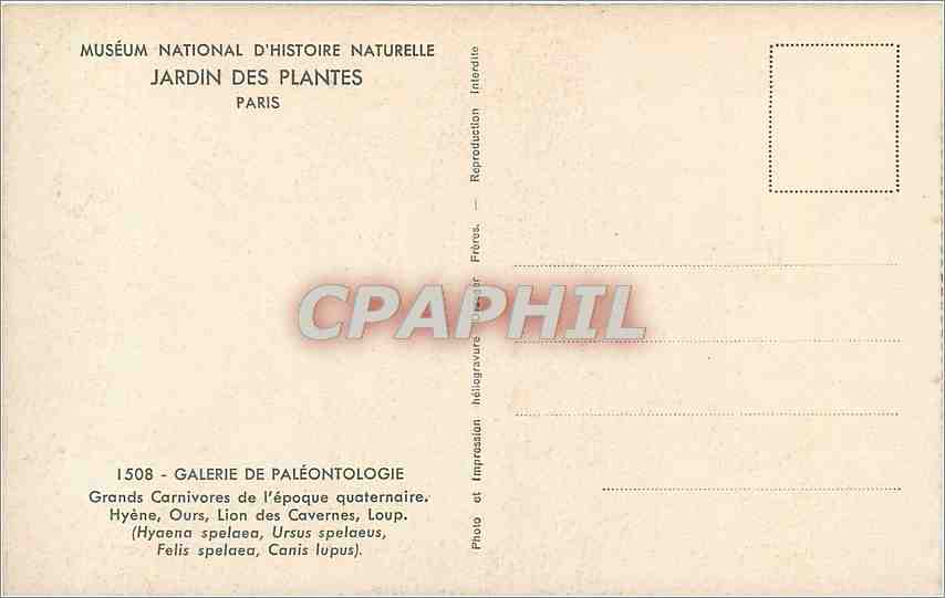 Grands Carnivores de l'époque quaternaire — Muséum national d'Histoire naturelle, Jardin des Plantes, Paris — Galerie de Paléontologie — Verso