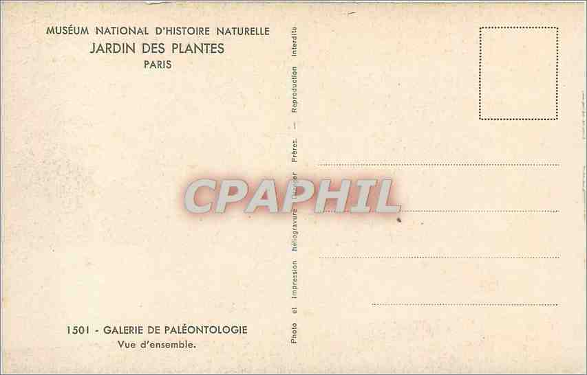 Musée national d'Histoire naturelle — Galerie de paléontologie — Frères Guger — Verso