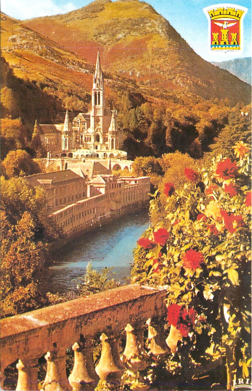 CPM Lourdes La Basilique et le Gave 