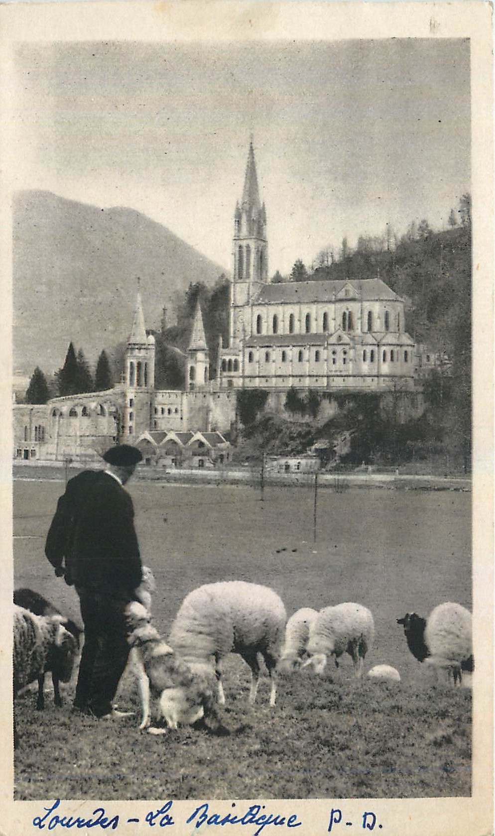 CPA Lourdes La Basilique 