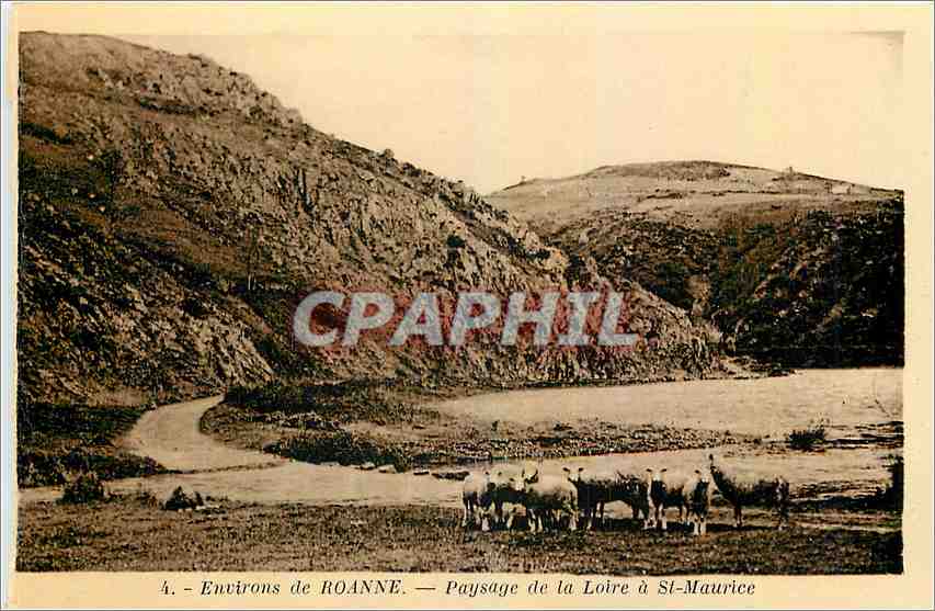 CPA Environs de Roanne Paysage de la Loire et St Maurice Moutons