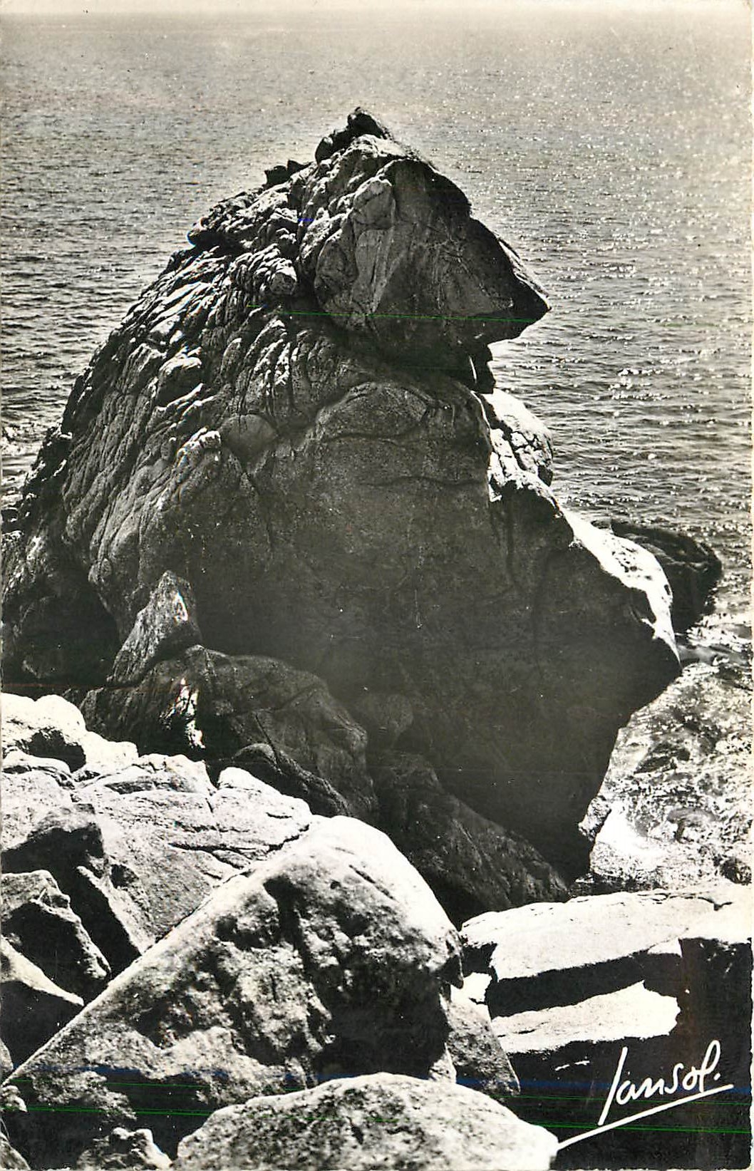 CPM La Cote d'Amour La Grande Coute L'Ours Polaire 