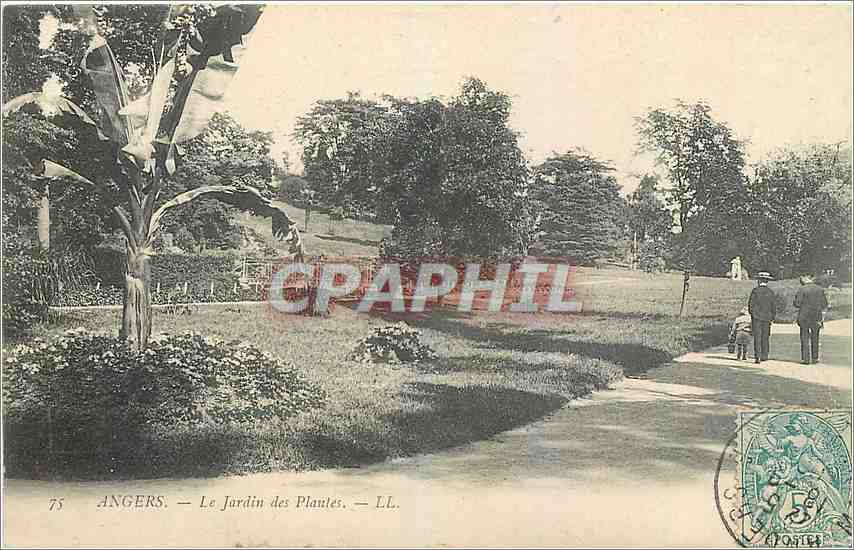 CPA Angers Le Jardin des Plantes 