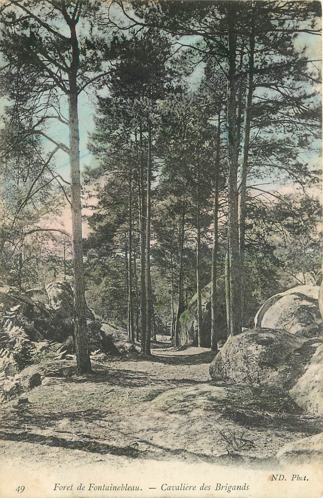 Wald von Fontainebleau — Cavalière des Brigands — ND. Phot.