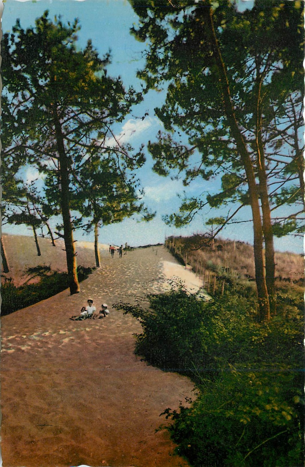 CPM Bassin d'Arcachon Pilat Plage Le Chemin de la Grande Dune 