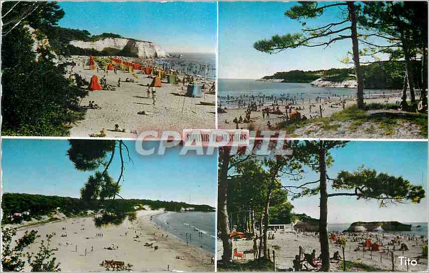 CPM Meschers les Bains Plage des Nonnes Pointe des Vergnes Plage de Suzac Plag des Vergnes