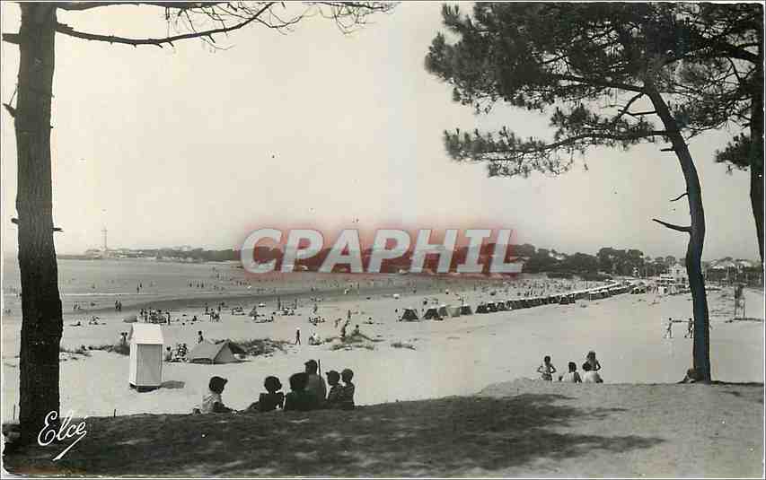 CPM St Georges de Didonne Charente Maritime Vue generale de la Plage 