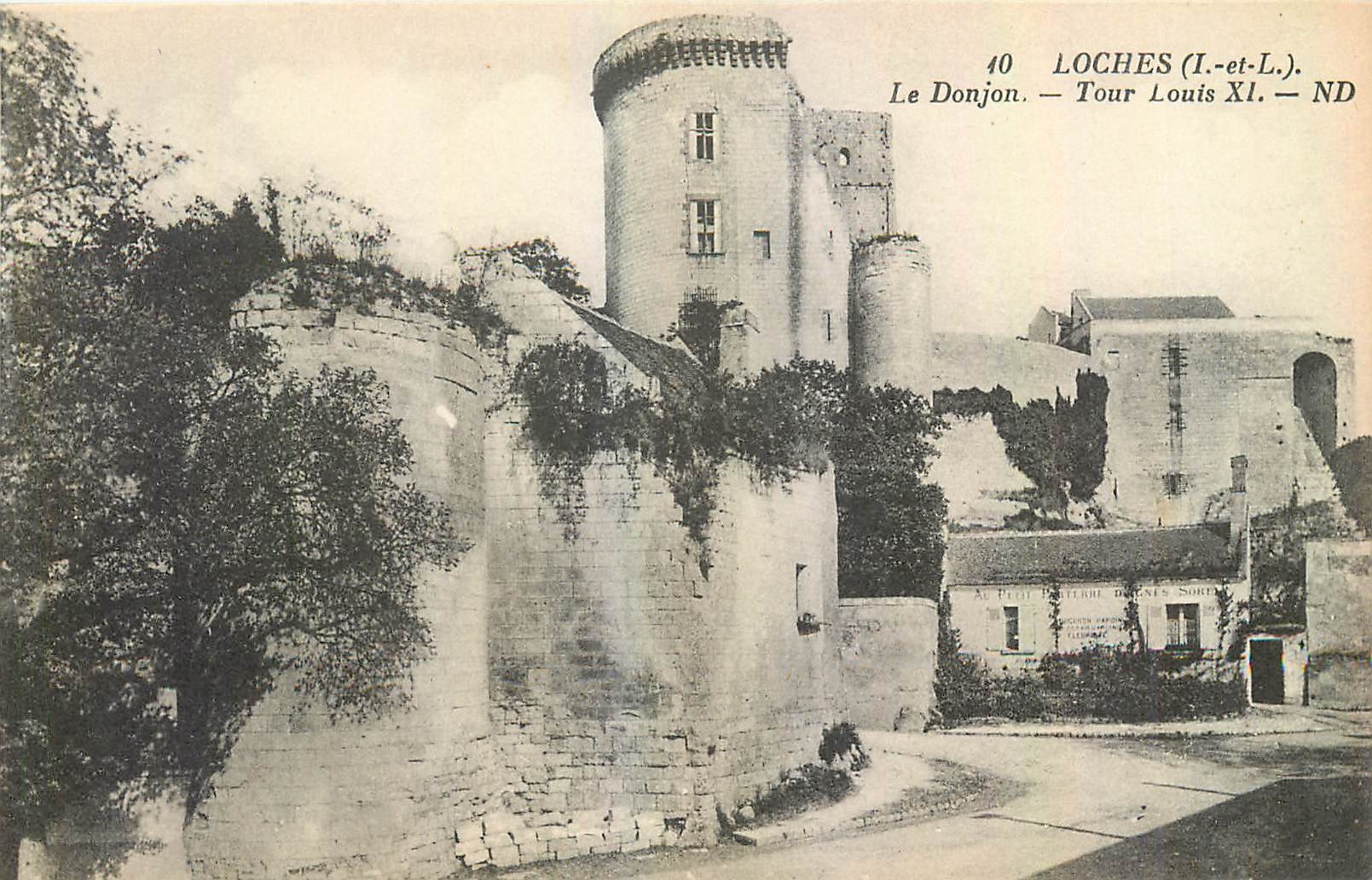 CPA Loches L et L Le Donjon Tour Louis XI 