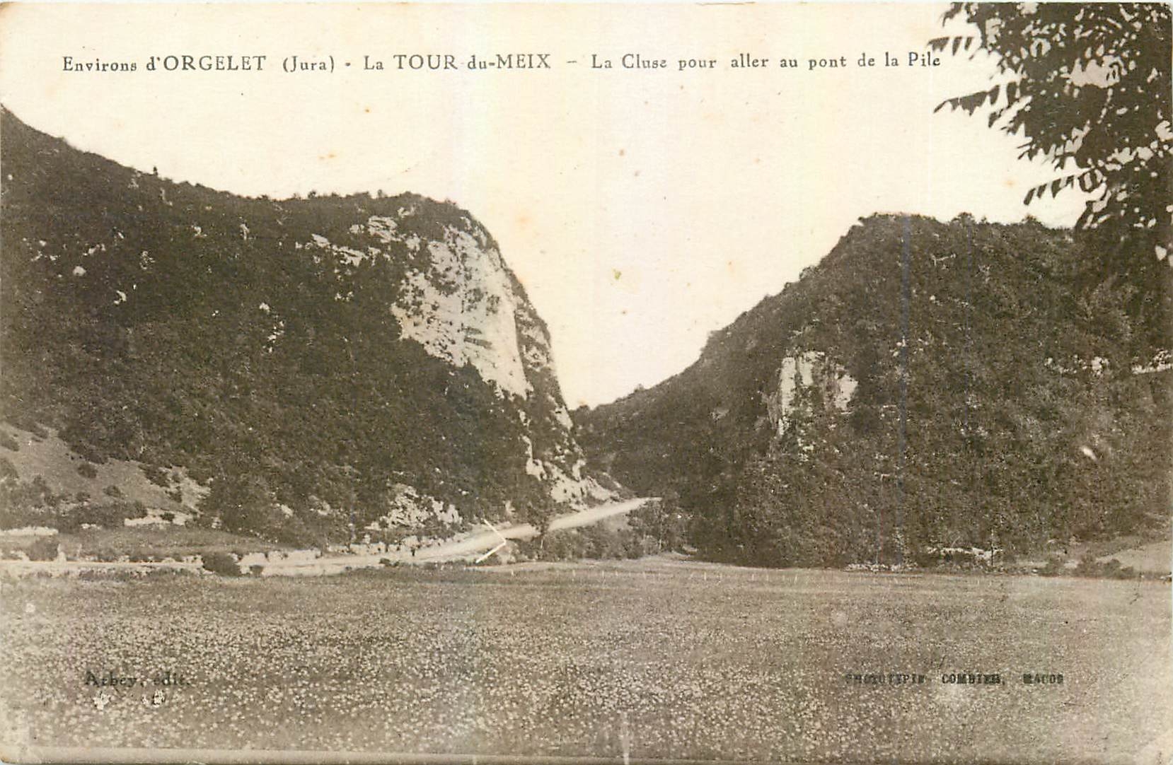 CPA Environs d'Orgelet Jura La Tour du Meix La Cluse pour aller au pont de la Pile 