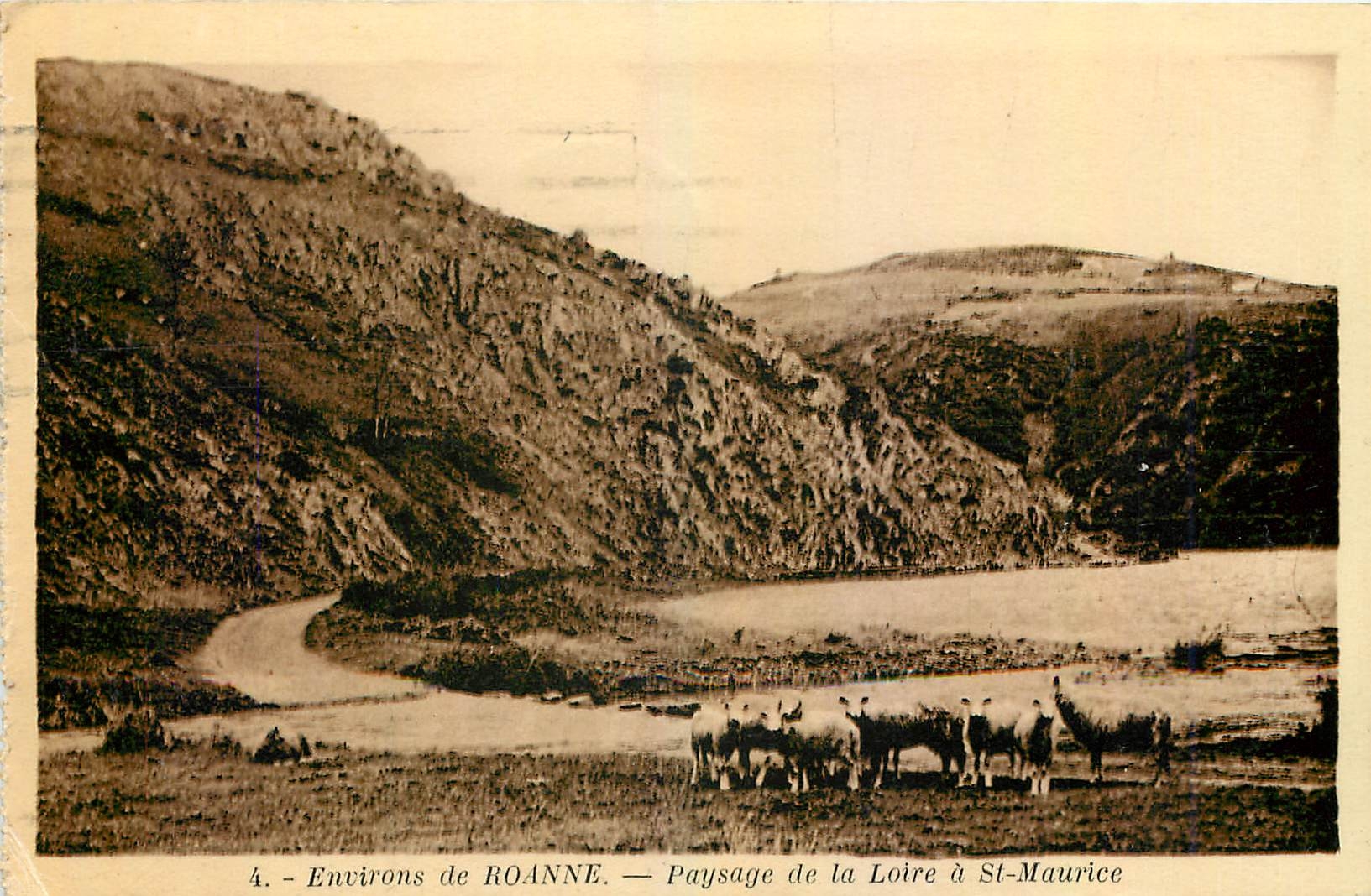 CPA Environs de Roanne Paysage de la Loire a St Maurice Moutons Agneaux
