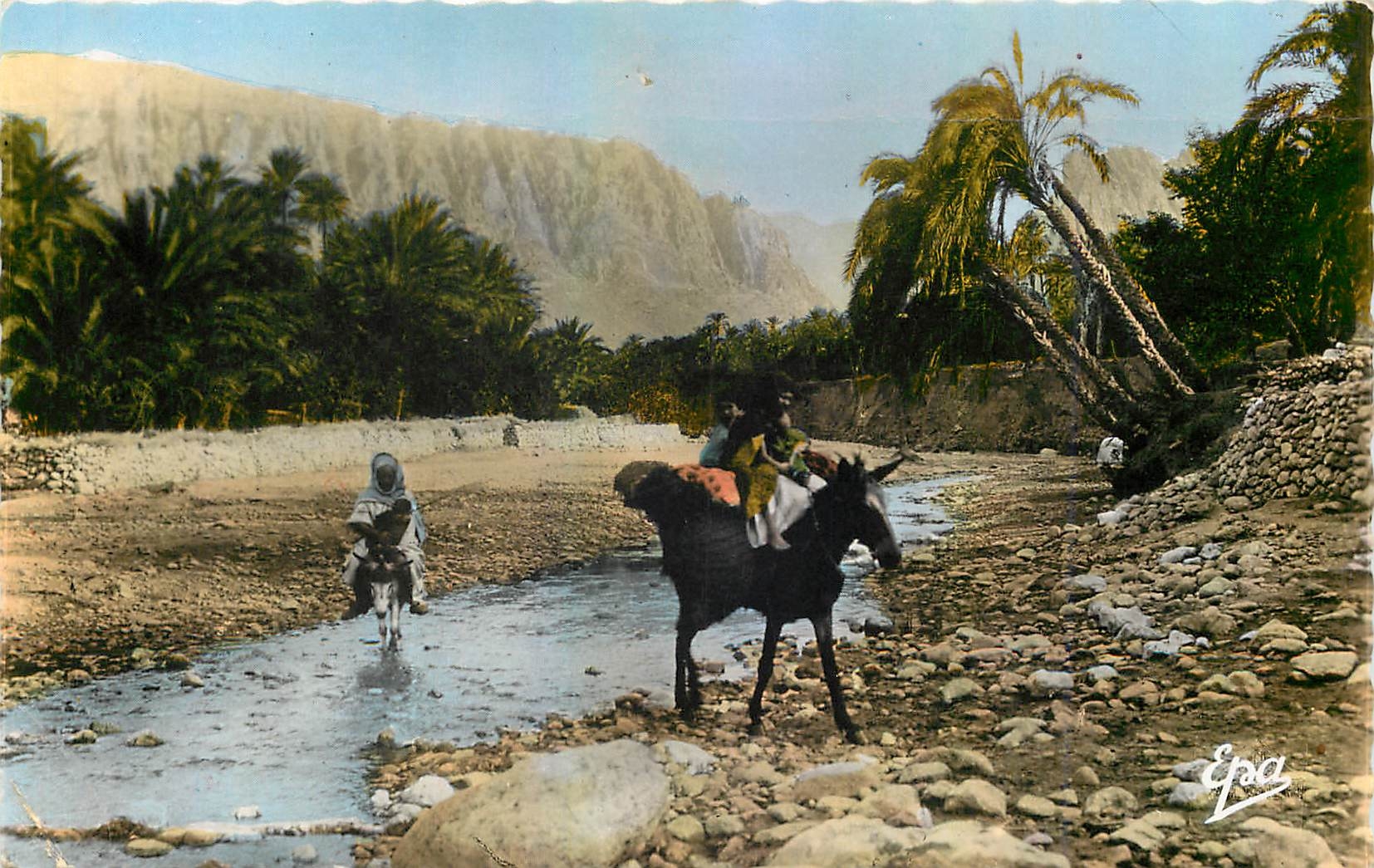 CPM Scenes et Types Dans la Riviere  Ane mule Afrique du Nord