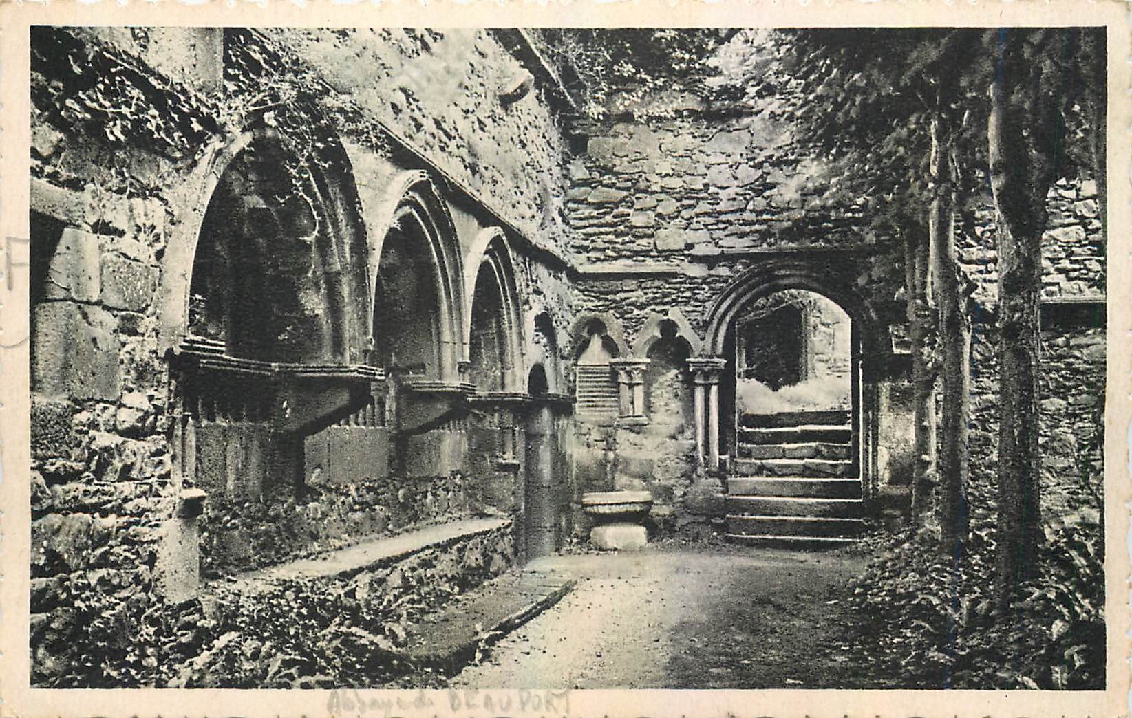 CPA Kerity Paimpol C du N Abbaye de Beauport Le Cloitre 
