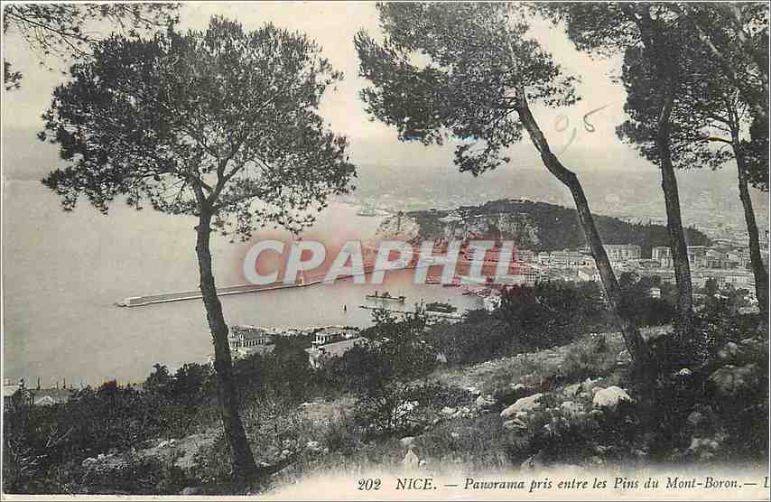 CPA Nice Panorama pris entre les Pins du Mont Boron 