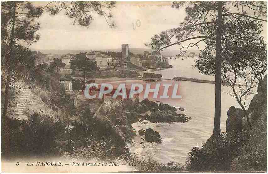 CPA La Napoule Vue a travers les Pins 