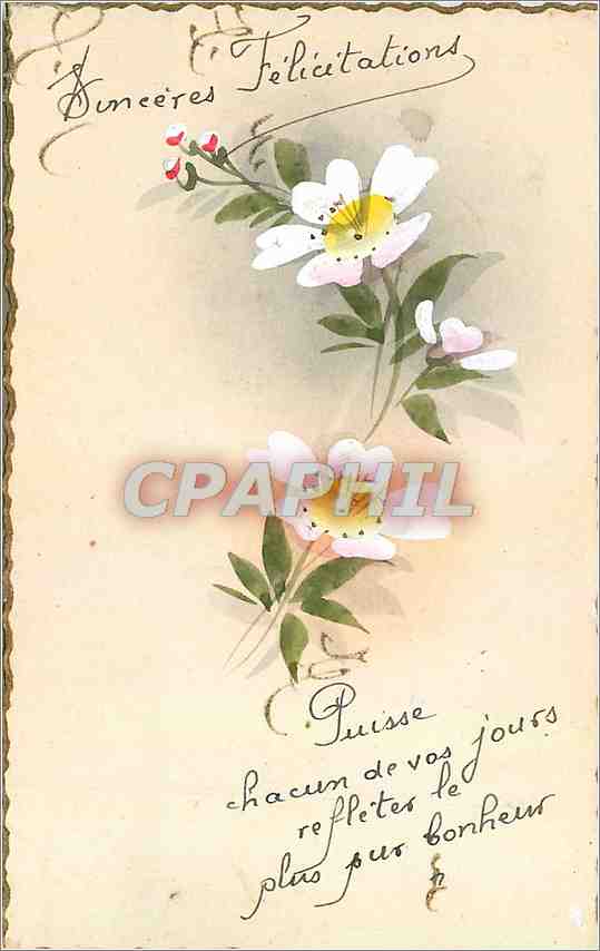 CPA Sinceres Felicitations (dessin a la main)