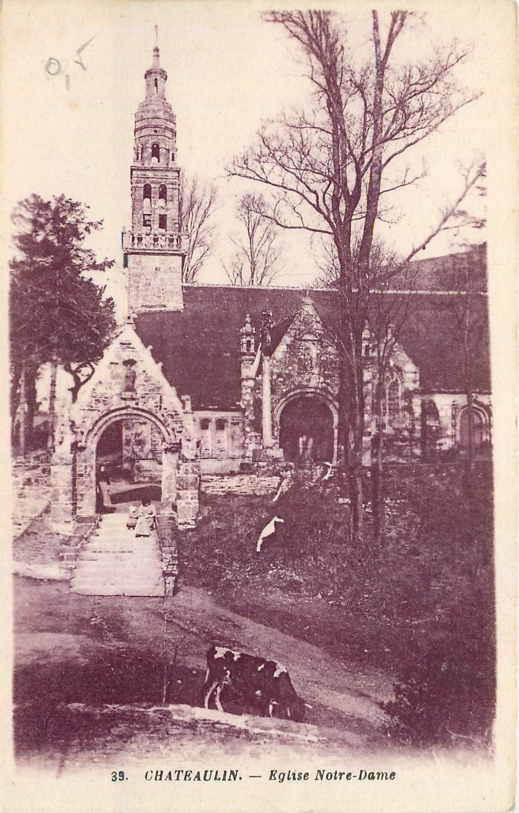 CPA Chateaulin Eglise Notre Dame Vache