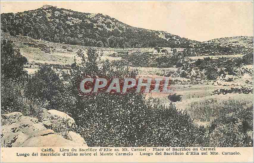 CPA Caiffa Lieu du Sacrifice d'Elie au Mt Carmel 