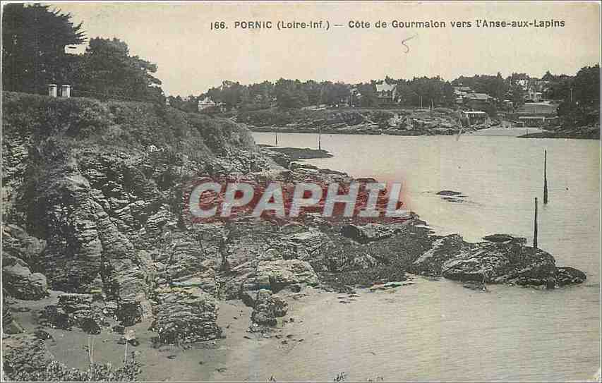 CPA Pornic Loire Inf Cote de Gourmalon vers l'Anse aux Lapins 