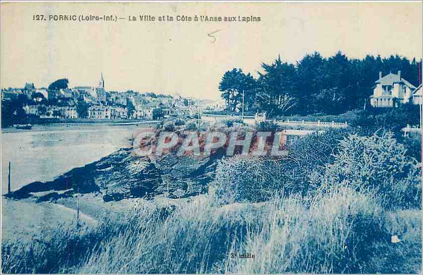 CPA Pornic Loire Inf La Ville et la Cote a l'Anse aux Lapins 