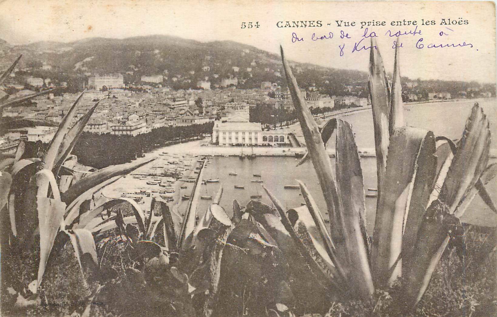 CPA Cannes Vue prise entre les Aloes 