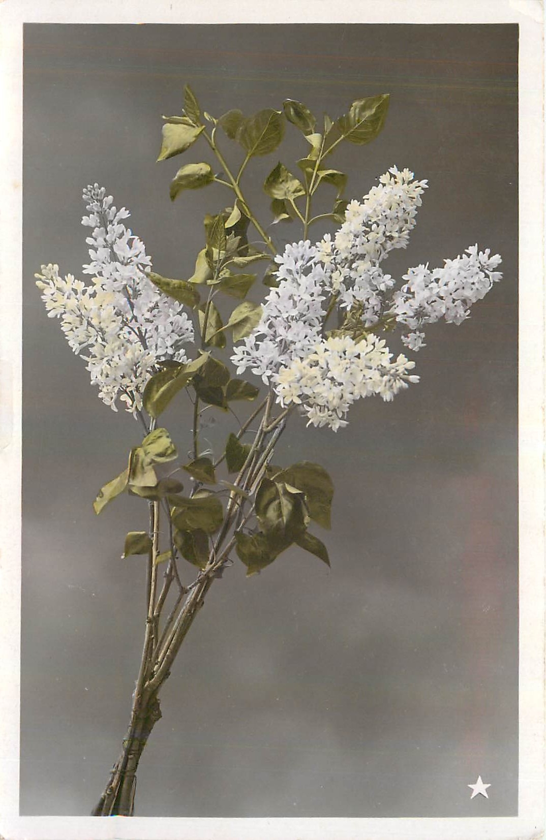 CPA Fleurs