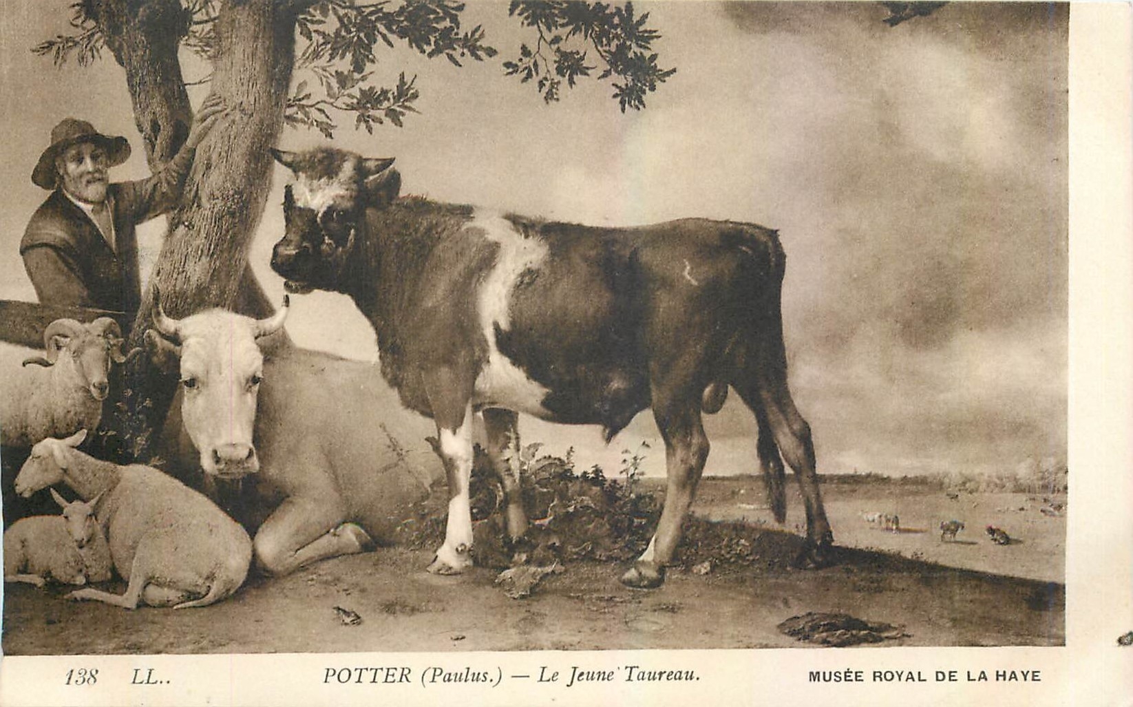 CPA Potter Paulus Le Jeune Taureau Musee Royal de la Haye 