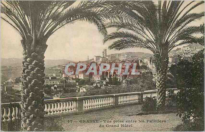 CPA Grasse Vue prise entre les Palmiers du Grand Hotel 