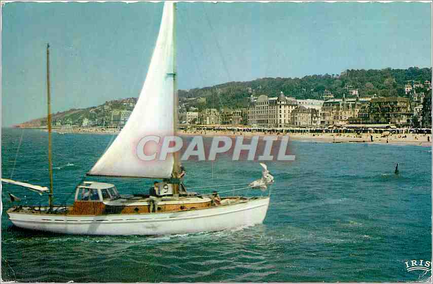 CPM Trouville Reine des Plages Voilier en Mer la Plage et les Villas 