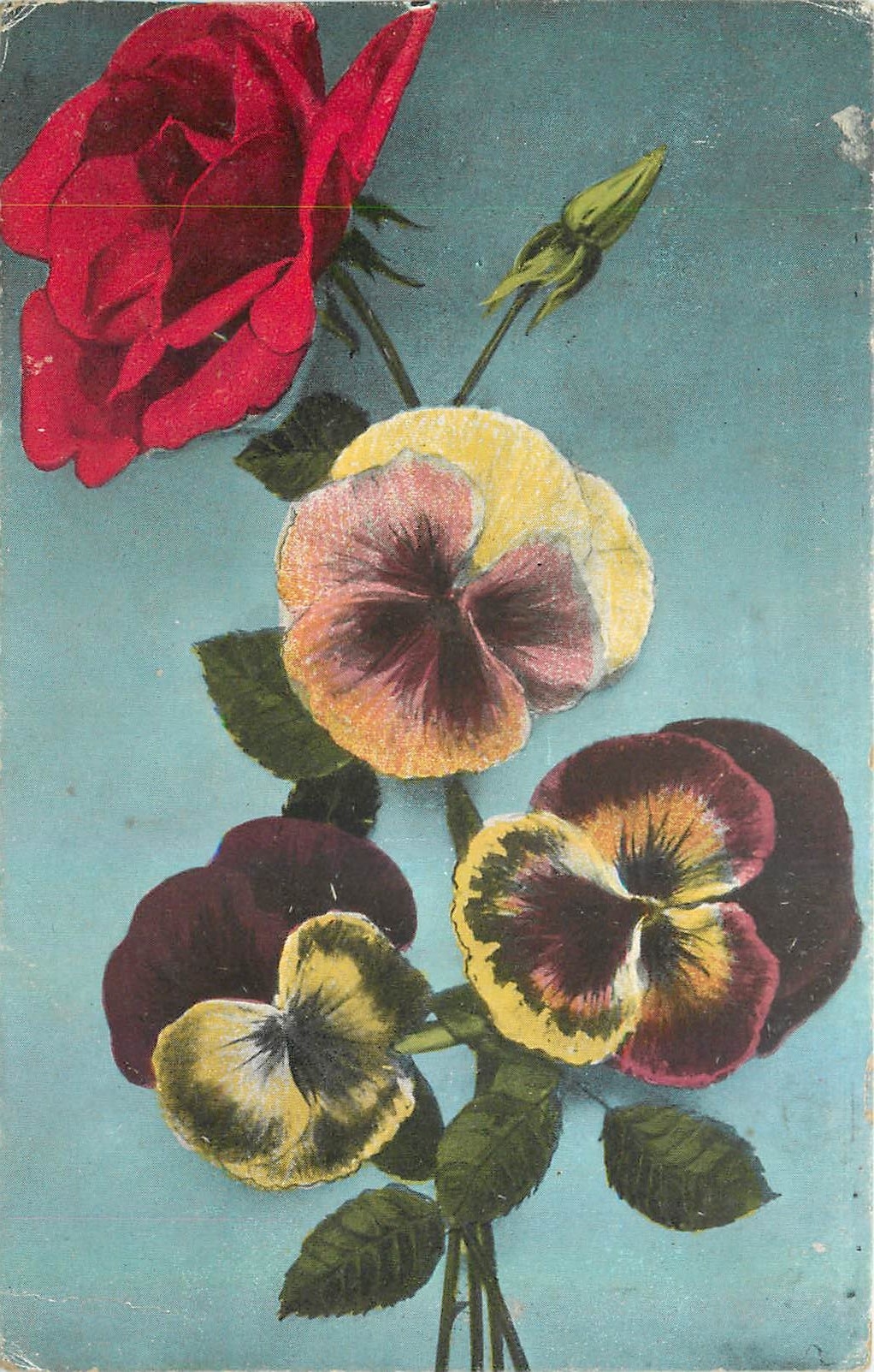 CPA Fleurs