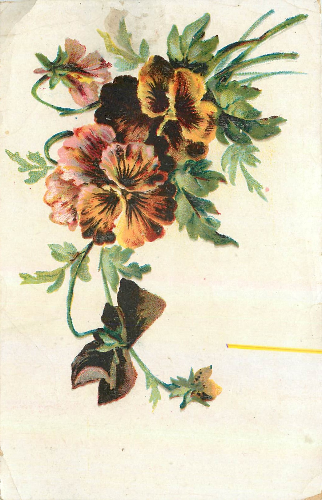 CPA Fleurs