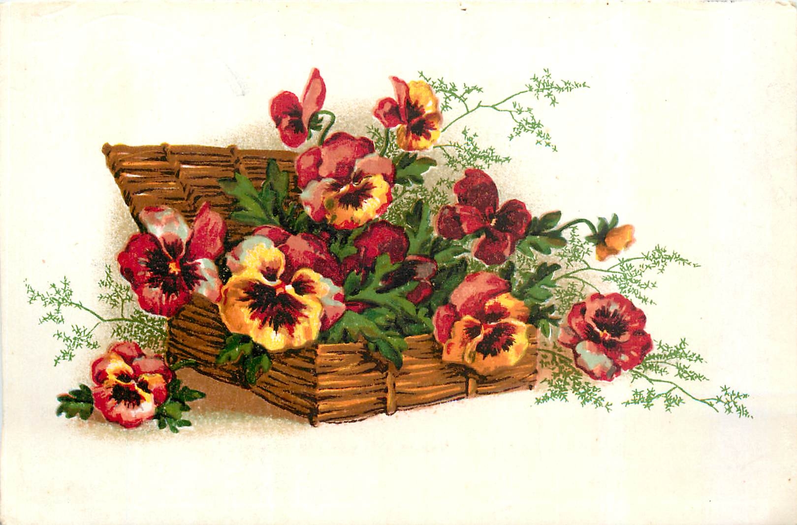 CPA Fleurs
