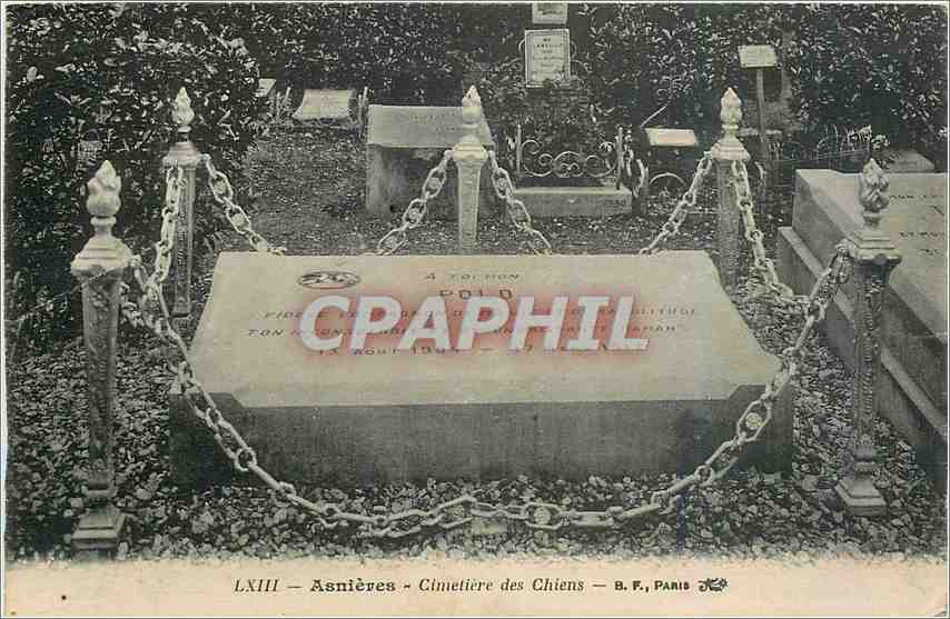 CPA Asnieres Cimetiere des Chiens 