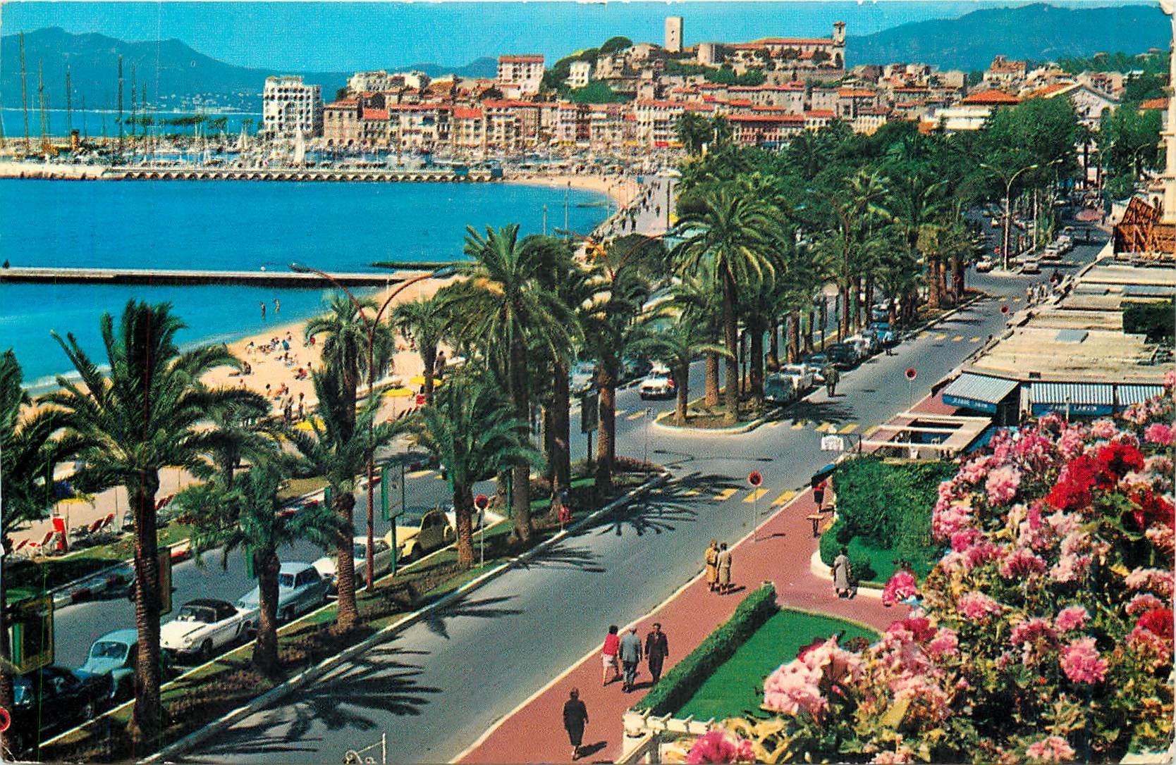 CPM Cannes La Croisette Le Mont Chevalier 
