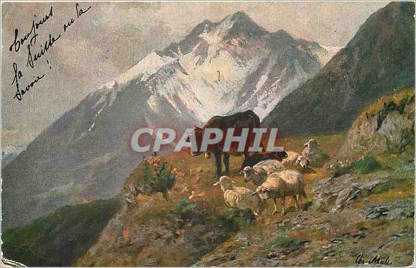 CPA Vaches Moutons