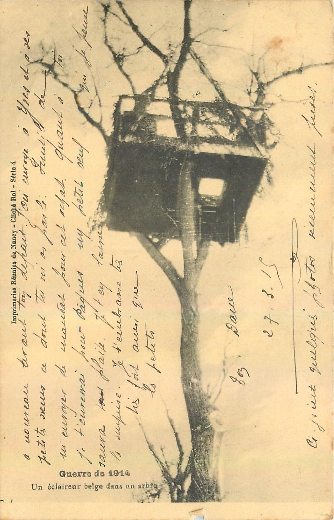 CPA Guerre de 1914 Un eclaireur belge dans un arbre Militaria