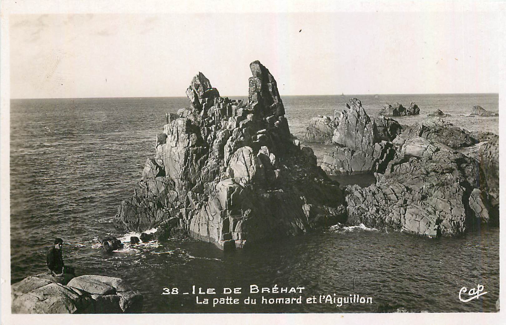 CPA Ile de Brehat La patte du homard et l'Aiguillon 