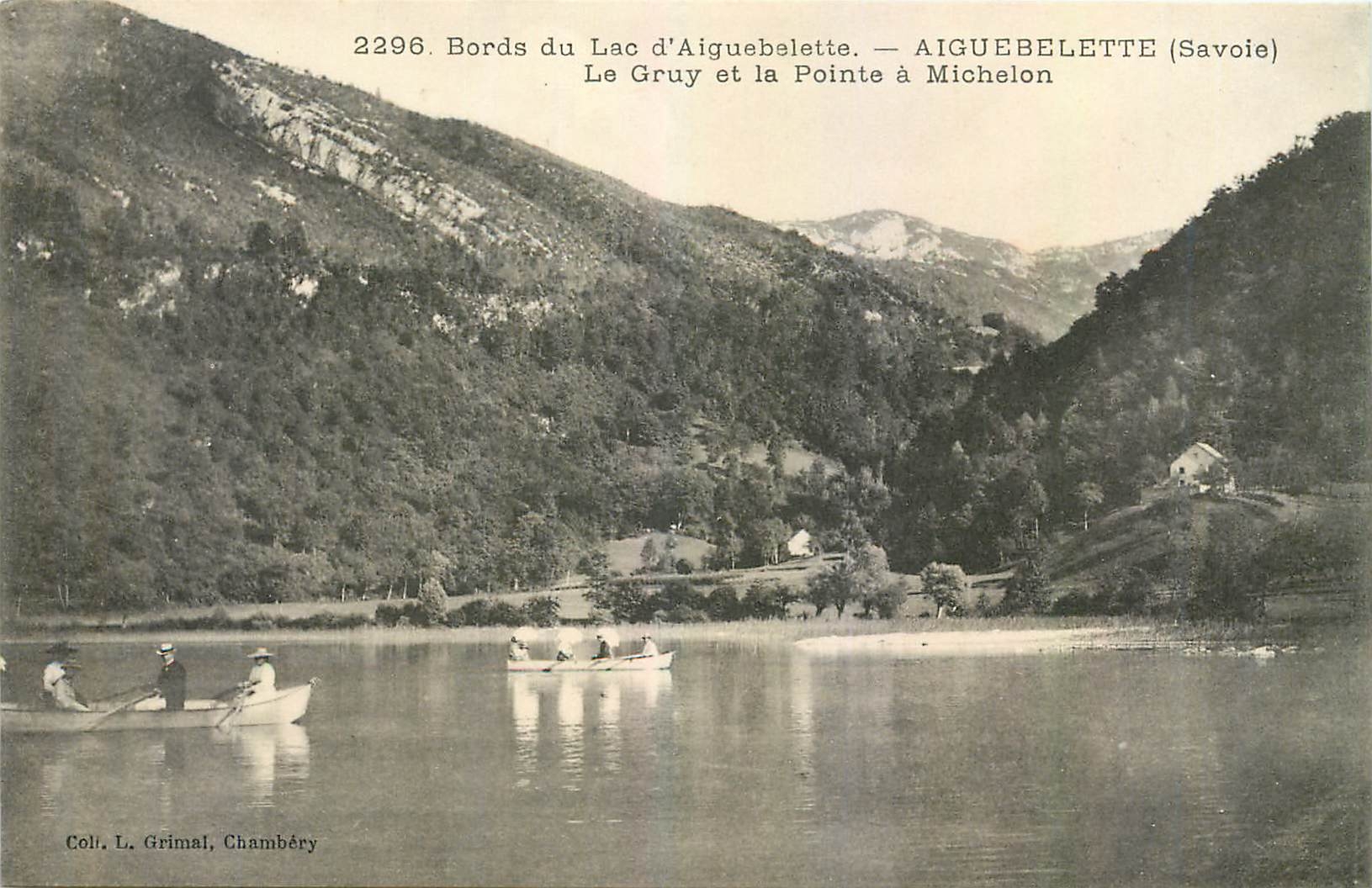 CPA Bords du Lac d'Aiguebelette Savoie Le Gruy et la Pointe a Michelon 